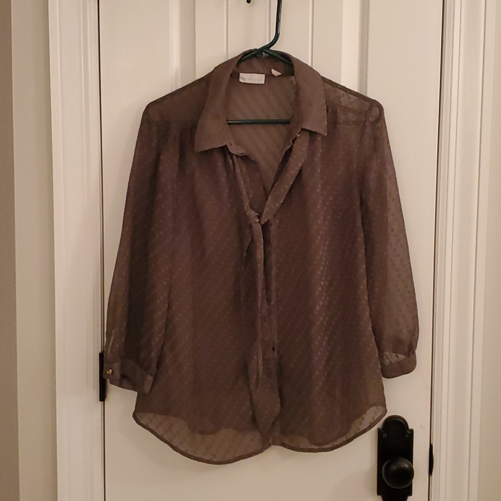 Sheer, olive green, long sleeved blouse
